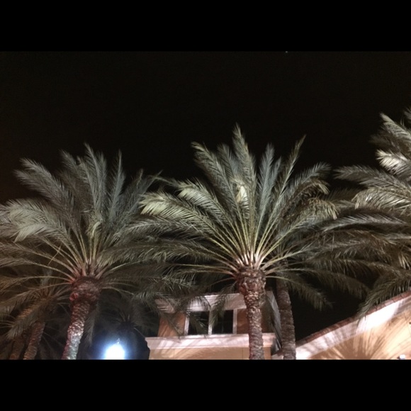 Meet your Posher, Jakii - Picture 2 of 2